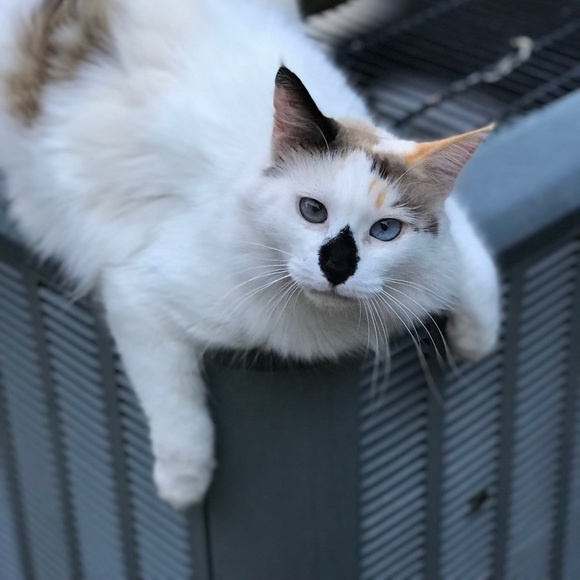 A little about my closet.... - Picture 7 of 8